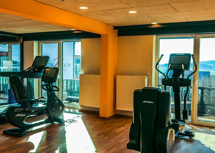Wellnesshotel Zum Koch 호텔
