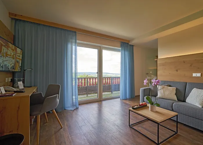 Wellnesshotel Zum Koch 4*